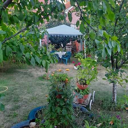 Apartman Drina Berilovac Buitenkant foto
