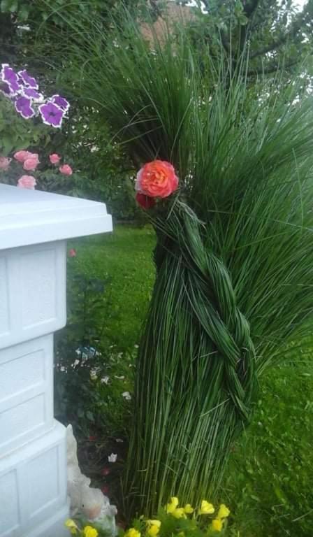 Apartman Drina Berilovac Buitenkant foto
