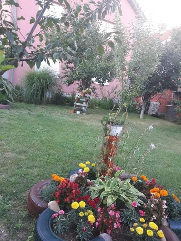 Apartman Drina Berilovac Buitenkant foto